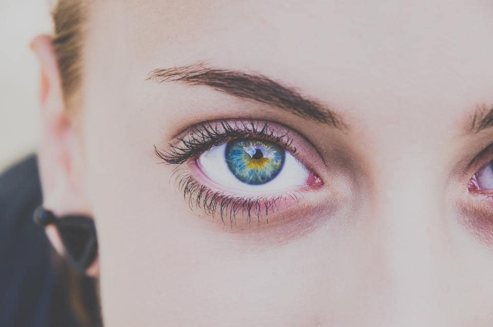 Well-groomed brows and lashes